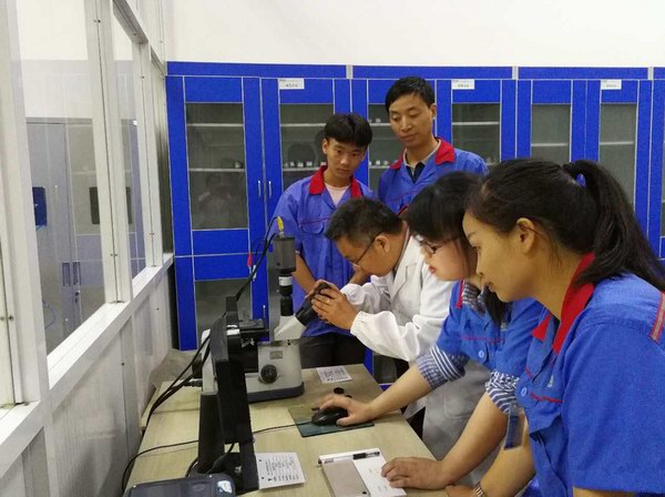 bat365(中国)在线平台官方网站-登录入口