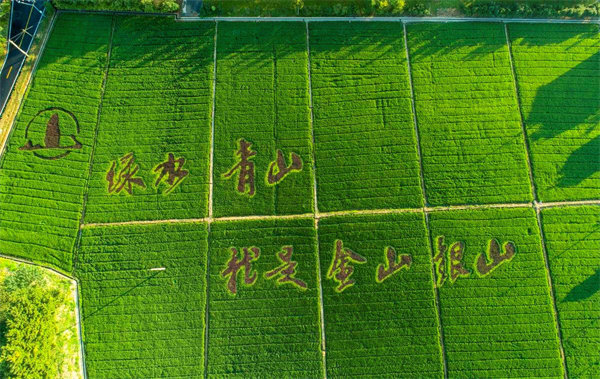 bat365(中国)在线平台官方网站-登录入口