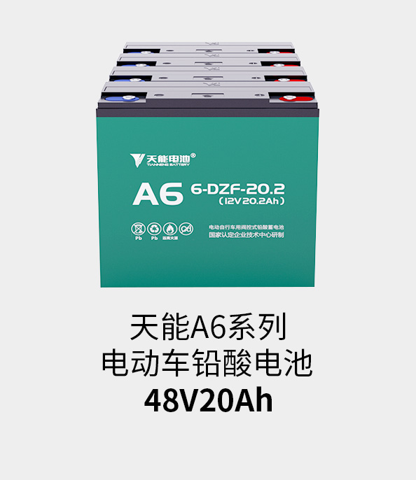 bat365电池48v20ah